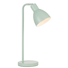 Pivot Iron Gooseneck Desk Lamp
